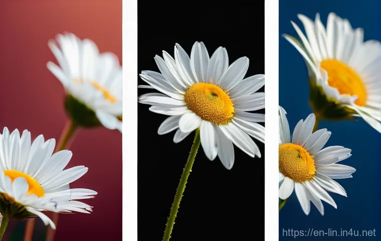 리니지 길드 활동 장려법 - Here are three detailed image prompts: